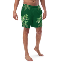 Load image into Gallery viewer, Men's Green Swim Trunks