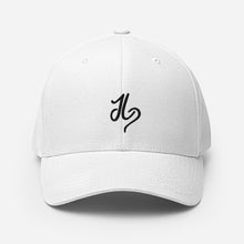 Load image into Gallery viewer, Structured Twill Cap